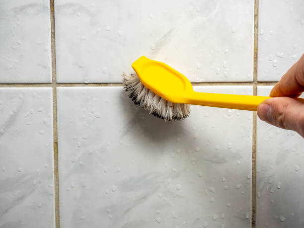 Best Mold Damage Repair  in Oak Hill, WV